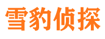 海林私家侦探